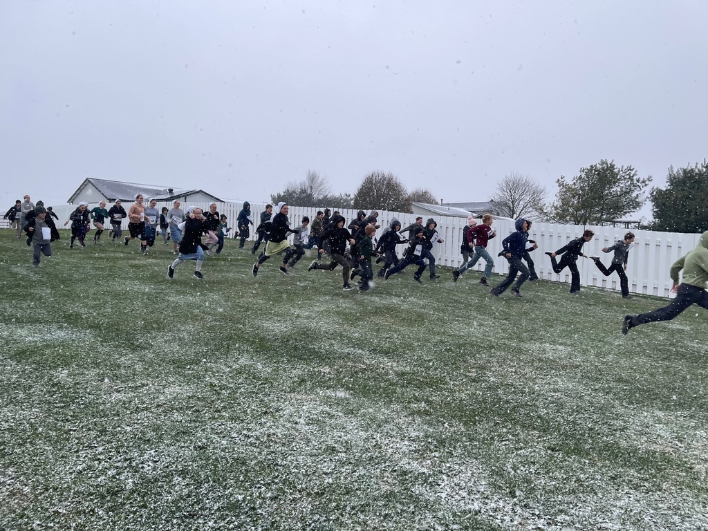 Turkey Trot in the snow